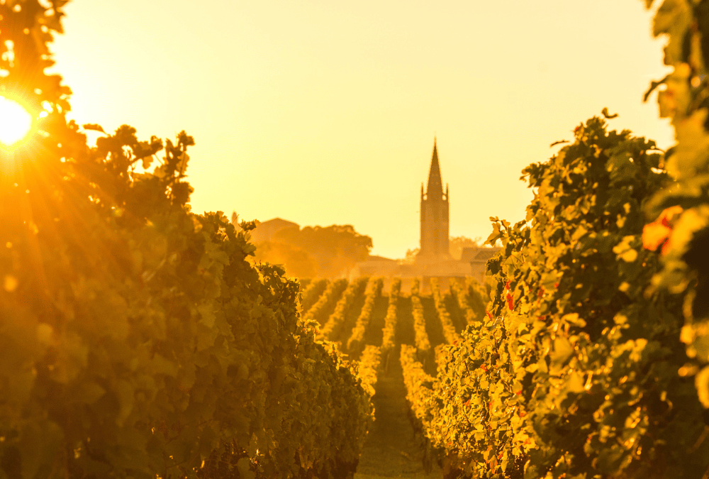 Gestion de patrimoine à Bordeaux : pourquoi opter pour une gestion privée ?