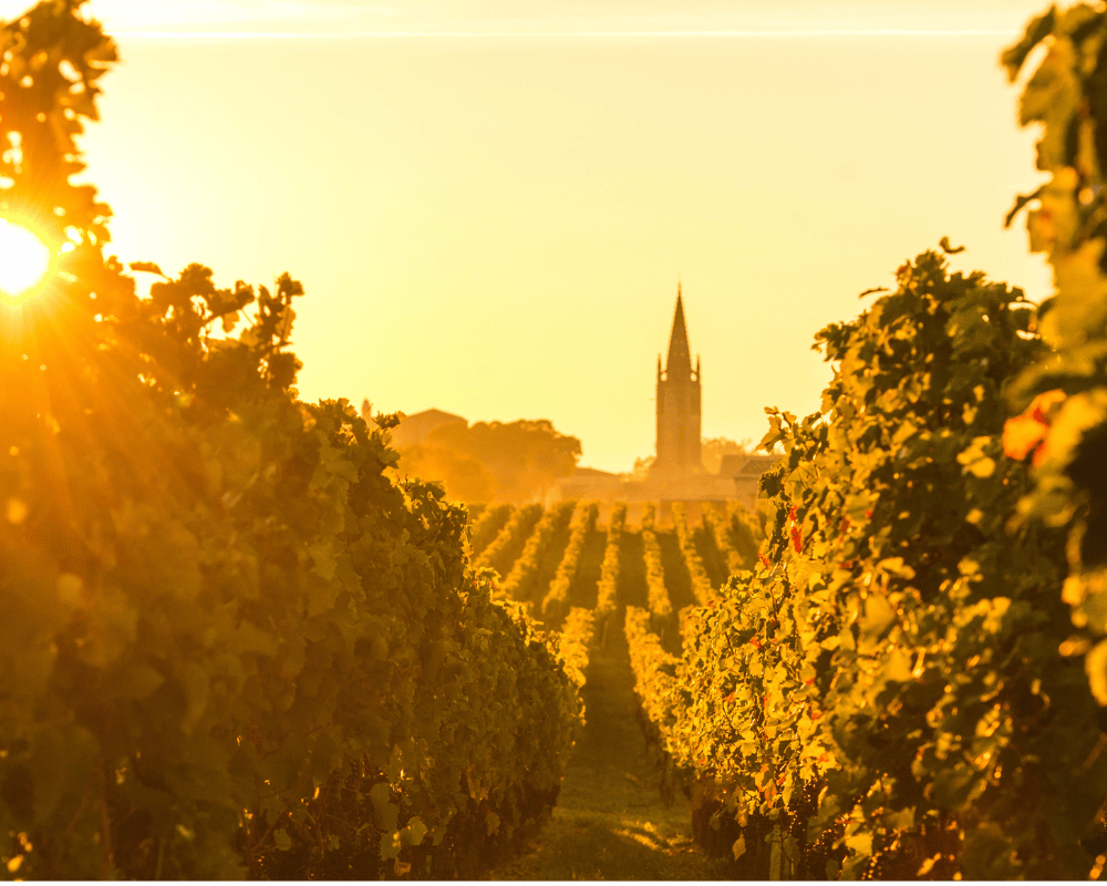 Gestion privée Bordeaux