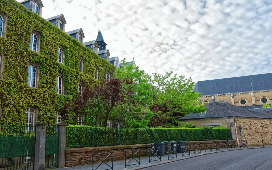 Placements financiers les plus performants selon l’horizon d’investissement : guide complet à Rennes